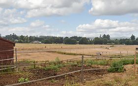 South Wing Coldharbour Park Farm
